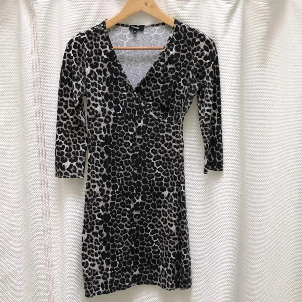 Express 3/4 sleeve faux wrap leopard print dress XS